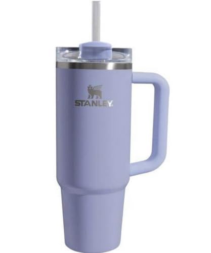 Solid Stanley Tumbler